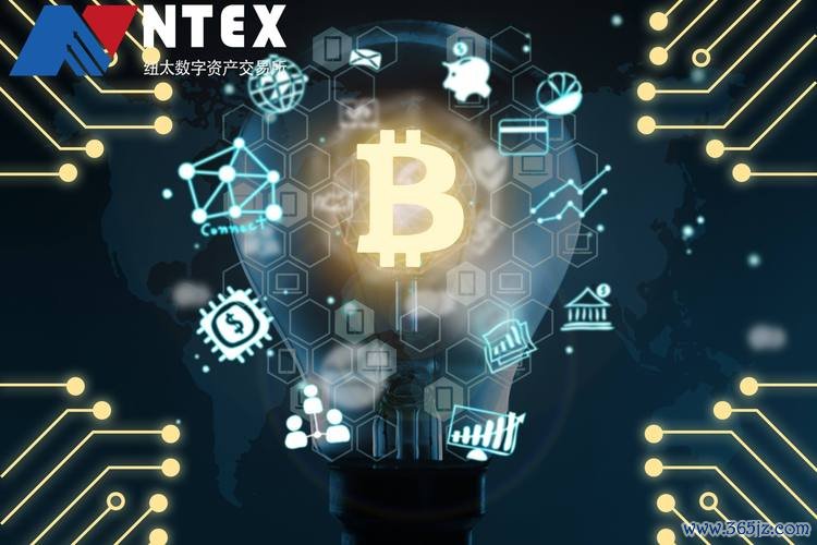 区块链钱包从入门到精通_tokenim钱包官方下载中的常见术语与概念讲解，帮助用户理解区块链与数字货币。_钱包区块链